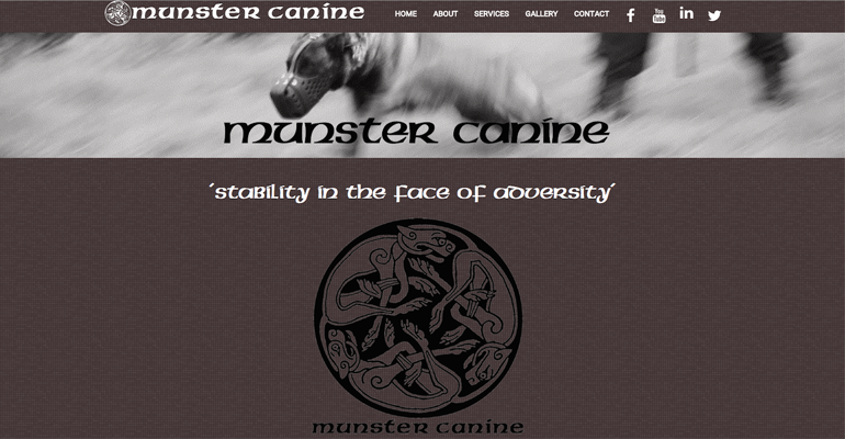 imadept website design cork